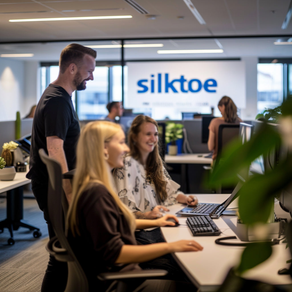 SILKTOE-HIRE-AN-ECOMMERCE-FREELANCER-FOR-YOUR-STORE